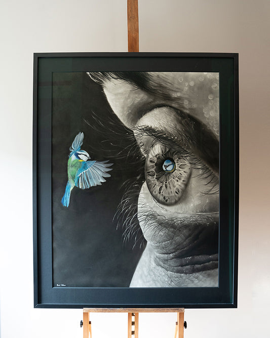 Bird House
