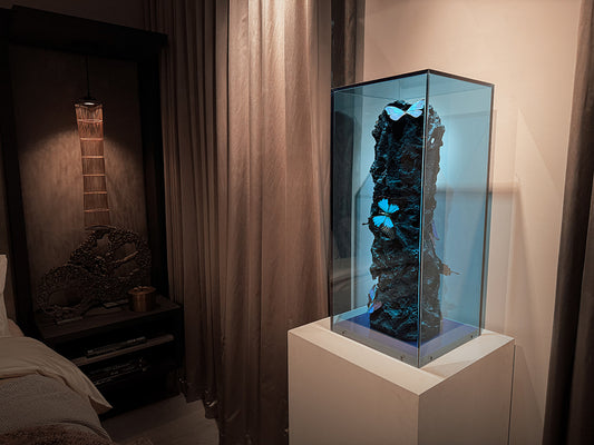 Deep Sea