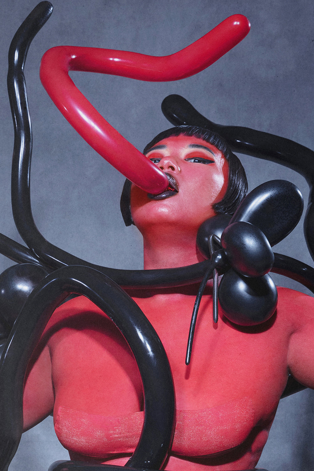 A lady devoured but not consumed II