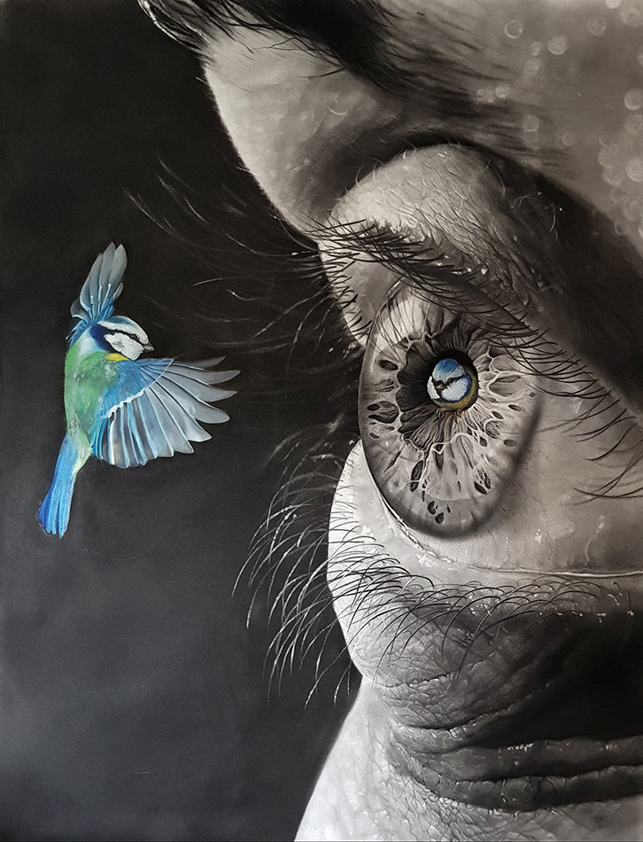 Bird House