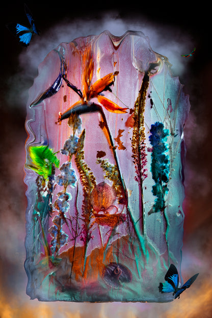Descent into Decay II