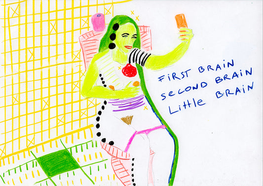 First Brain, Second Brain, Little Brain