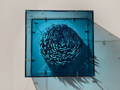 Frozen Vortex