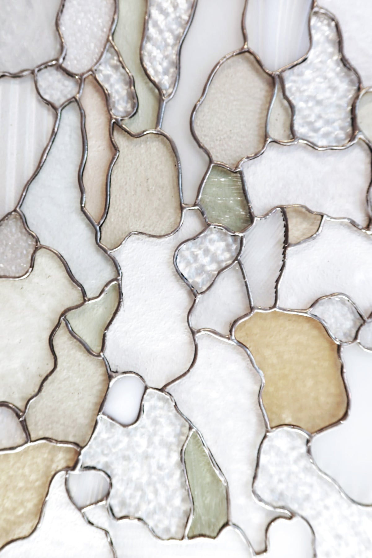 Lucent Bark