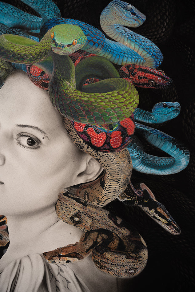 Medusa