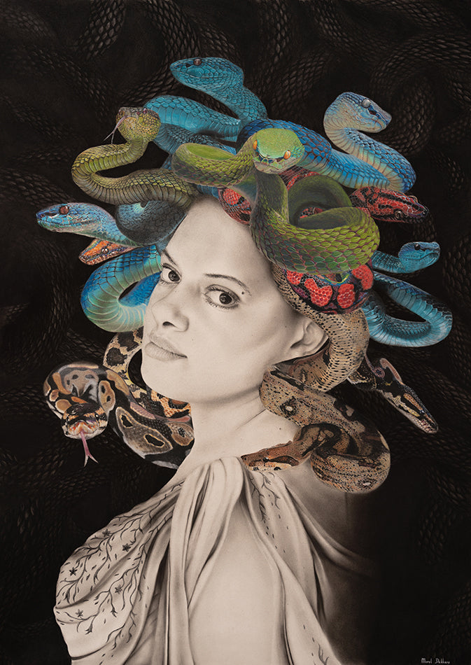 Medusa