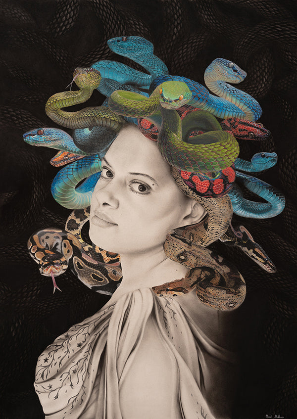 Medusa