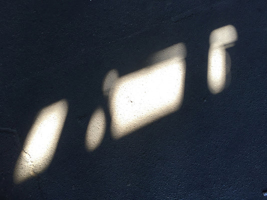 Spoor