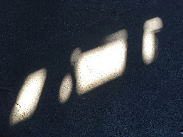 Spoor