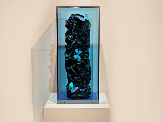 Deep Sea
