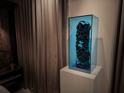 Deep Sea