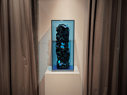 Deep Sea